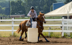 2022-6-26-Sunday-Horse-trial-029