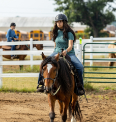 2022-6-26-Sunday-Horse-trial-030