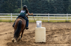 2022-6-26-Sunday-Horse-trial-031