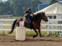 2022-6-26-Sunday-Horse-trial-032