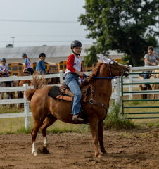 2022-6-26-Sunday-Horse-trial-033