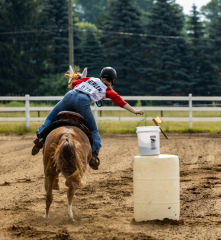 2022-6-26-Sunday-Horse-trial-034