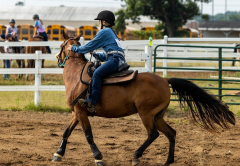 2022-6-26-Sunday-Horse-trial-036