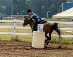 2022-6-26-Sunday-Horse-trial-037