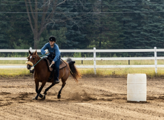 2022-6-26-Sunday-Horse-trial-038