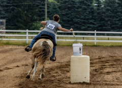 2022-6-26-Sunday-Horse-trial-041