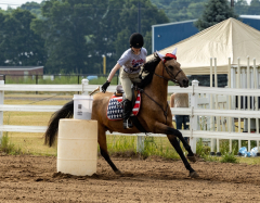 2022-6-26-Sunday-Horse-trial-045