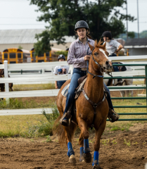 2022-6-26-Sunday-Horse-trial-049