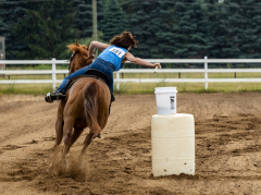 2022-6-26-Sunday-Horse-trial-056