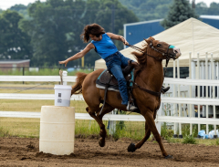 2022-6-26-Sunday-Horse-trial-057