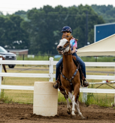 2022-6-26-Sunday-Horse-trial-060
