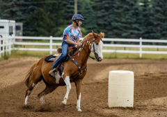 2022-6-26-Sunday-Horse-trial-061