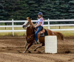 2022-6-26-Sunday-Horse-trial-062