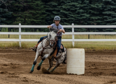 2022-6-26-Sunday-Horse-trial-068