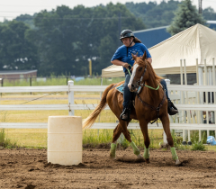 2022-6-26-Sunday-Horse-trial-072