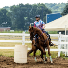 2022-6-26-Sunday-Horse-trial-078