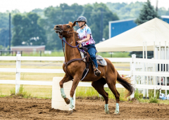 2022-6-26-Sunday-Horse-trial-079