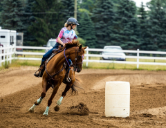 2022-6-26-Sunday-Horse-trial-080