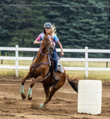 2022-6-26-Sunday-Horse-trial-081-2