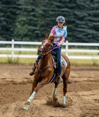 2022-6-26-Sunday-Horse-trial-082