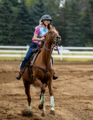 2022-6-26-Sunday-Horse-trial-083