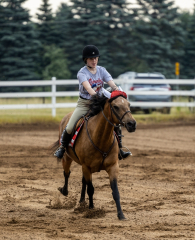 2022-6-26-Sunday-Horse-trial-087