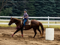 2022-6-26-Sunday-Horse-trial-095