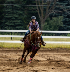 2022-6-26-Sunday-Horse-trial-096