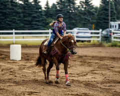 2022-6-26-Sunday-Horse-trial-098
