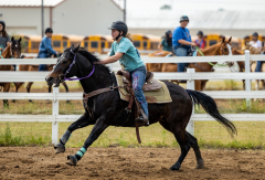 2022-6-26-Sunday-Horse-trial-099