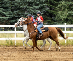 2022-6-26-Sunday-Horse-trial-1003