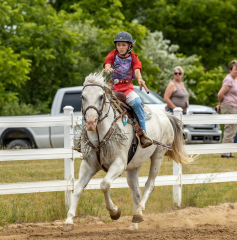 2022-6-26-Sunday-Horse-trial-1008