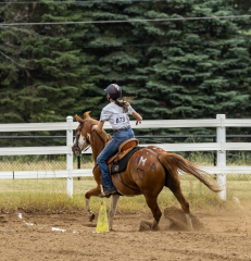 2022-6-26-Sunday-Horse-trial-1010-2