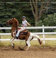 2022-6-26-Sunday-Horse-trial-1010-3