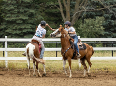 2022-6-26-Sunday-Horse-trial-1011