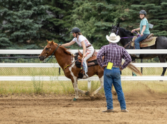 2022-6-26-Sunday-Horse-trial-1012