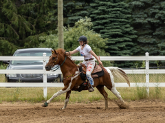 2022-6-26-Sunday-Horse-trial-1013