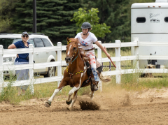 2022-6-26-Sunday-Horse-trial-1014