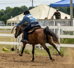 2022-6-26-Sunday-Horse-trial-1021