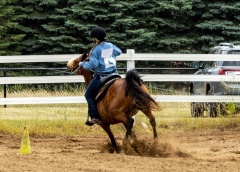 2022-6-26-Sunday-Horse-trial-1023