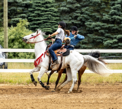 2022-6-26-Sunday-Horse-trial-1026