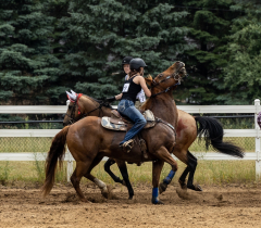 2022-6-26-Sunday-Horse-trial-1035