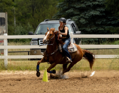 2022-6-26-Sunday-Horse-trial-1037