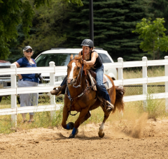 2022-6-26-Sunday-Horse-trial-1038