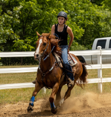 2022-6-26-Sunday-Horse-trial-1041