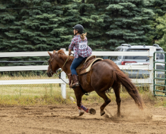 2022-6-26-Sunday-Horse-trial-1044