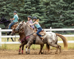 2022-6-26-Sunday-Horse-trial-1046