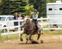 2022-6-26-Sunday-Horse-trial-1048