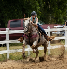 2022-6-26-Sunday-Horse-trial-1049