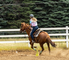 2022-6-26-Sunday-Horse-trial-1055